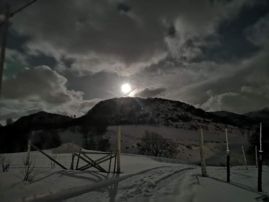 Storjord Farmstay Ranchhouse Kvaloya Exteriér fotografie