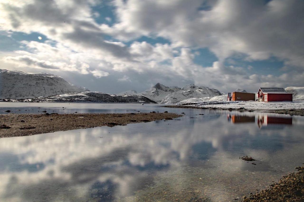 Storjord Farmstay Ranchhouse Kvaloya Exteriér fotografie