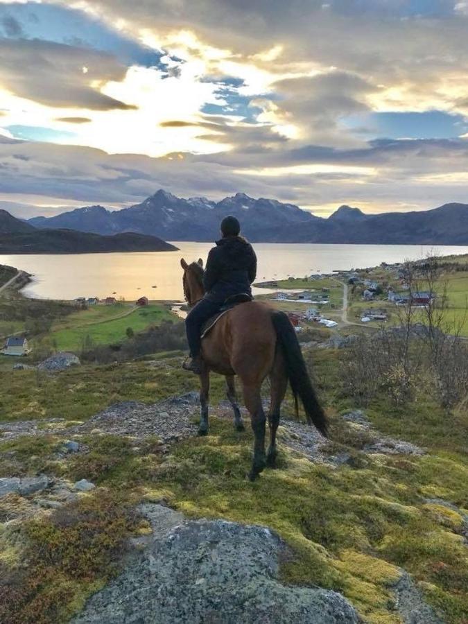 Storjord Farmstay Ranchhouse Kvaloya Exteriér fotografie