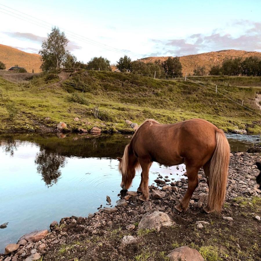 Storjord Farmstay Ranchhouse Kvaloya Exteriér fotografie