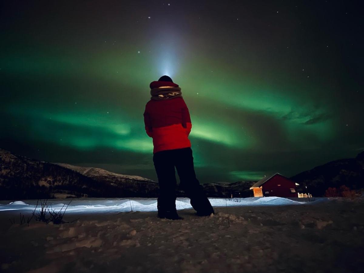 Storjord Farmstay Ranchhouse Kvaloya Exteriér fotografie