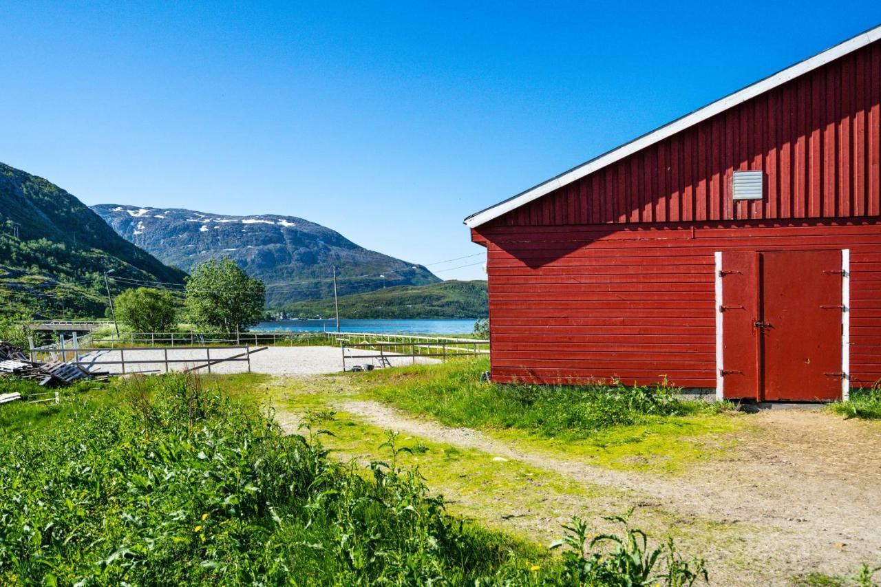 Storjord Farmstay Ranchhouse Kvaloya Exteriér fotografie