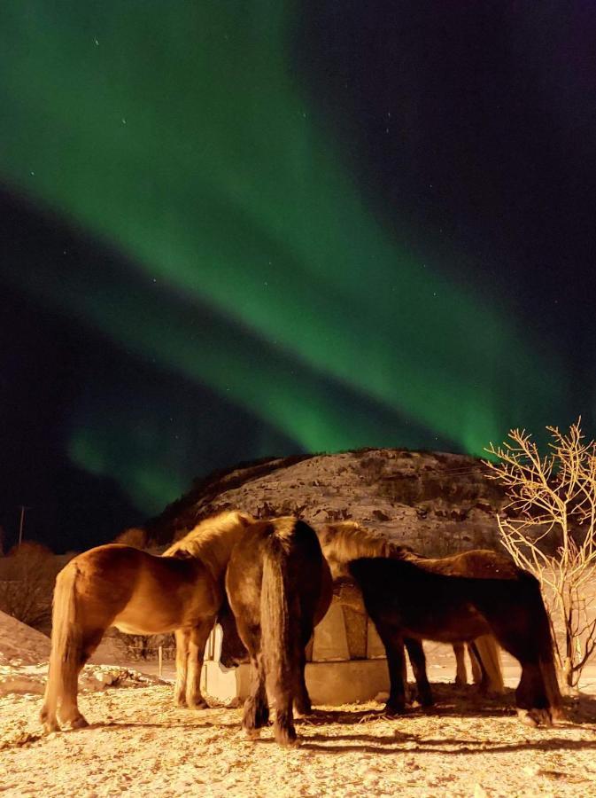 Storjord Farmstay Ranchhouse Kvaloya Exteriér fotografie