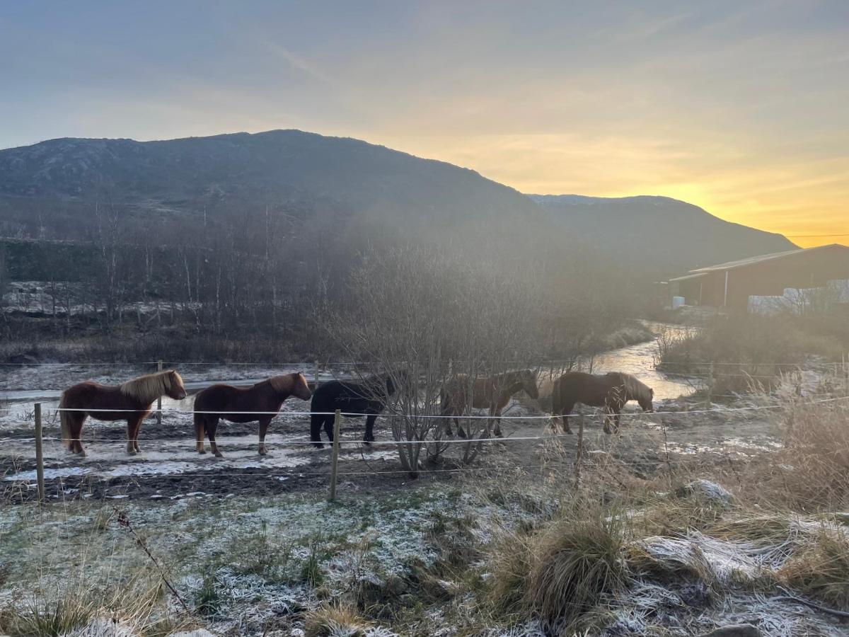 Storjord Farmstay Ranchhouse Kvaloya Exteriér fotografie